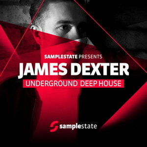 SAMPLESTATE �y���[�v�}�X�^�[�Y�z���f�[�Z�[���I�zJAMES DEXTER UNDERGROUND DEEP HOUSE(�I�����C���[�i)(2���Ԉȓ��ɔ[�i) �v���O�C���\�t�g