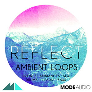 MODEAUDIO REFLECT(�I�����C���[�i)(2���Ԉȓ��ɔ[�i) �v���O�C���\�t�g