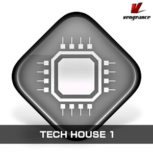 Vengeance Sound TECH HOUSE 1(IC[i)(2Ԉȓɔ[i) \tgEFA