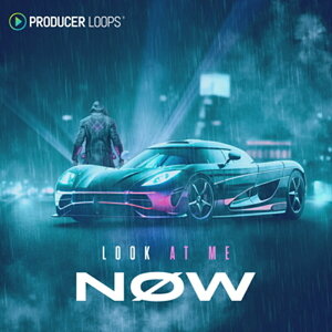 PRODUCER LOOPS LOOK AT ME NOW(�I�����C���[�i)(2���Ԉȓ��ɔ[�i) �v���O�C���\�t�g
