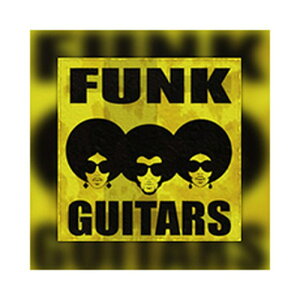 ORGANIC LOOPS FUNK GUITARS(IC[i)(2Ԉȓɔ[i) vOC\tg