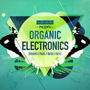 LOOPMASTERS ORGANIC ELECTRONICS(IC[i)(2Ԉȓɔ[i) vOC\tg