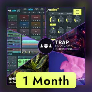 SoundBridge Everything Bundle (1 Month)(�I�����C���[�i)(2���Ԉȓ��ɔ[�i) DAW�\�t�g