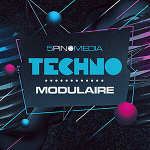 5PIN MEDIA TECHNO MODULAIRE(�I�����C���[�i)(2���Ԉȓ��ɔ[�i) �v���O�C���\�t�g
