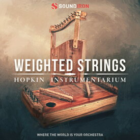 SOUNDIRON 【サウンドアイアンブラックフライデーセール！】HOPKIN INSTRUMENTARIUM: WEIGHTED STRINGS(オンライン納品)(2時間以内に納品) プラグインソフト
