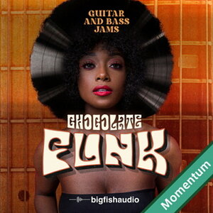 BIG FISH AUDIO yrbOtBbVI[fBIZ[IzCHOCOLATE FUNK - GUITAR AND BASS JAMS(IC[i)(2Ԉȓɔ[i) vOC\tg