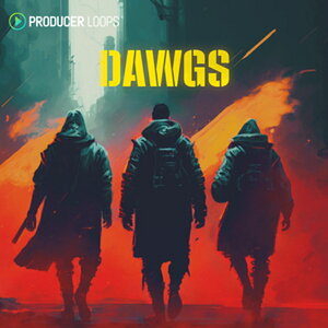 PRODUCER LOOPS �y�v���f���[�T�[���[�v�XGW�Z�[���I�zDAWGS(�I�����C���[�i)(2���Ԉȓ��ɔ[�i) �v���O�C���\�t�g