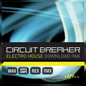 BIG FISH AUDIO yrbOtBbVI[fBIZ[IzCIRCUIT BREAKER(IC[i)(2Ԉȓɔ[i) vOC\tg