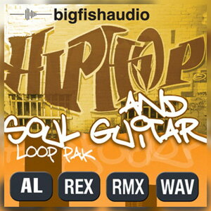 BIG FISH AUDIO yrbOtBbVI[fBIZ[IzHIP HOP AND SOUL GUITAR PAK(IC[i)(2Ԉȓɔ[i) vOC\tg