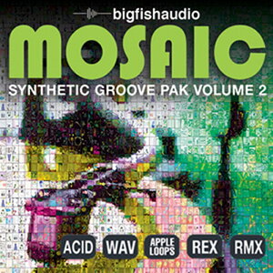 BIG FISH AUDIO yrbOtBbVI[fBIZ[IzMOSAIC - SYNTHETIC GROOVE PAK VOL.2(IC[i)(2Ԉȓɔ[i) vOC\tg