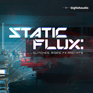 BIG FISH AUDIO STATIC FLUX(�I�����C���[�i)(2���Ԉȓ��ɔ[�i) �v���O�C���\�t�g