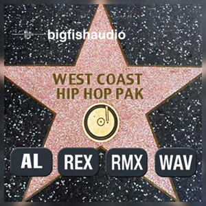 BIG FISH AUDIO WEST COAST HIP HOP PAK(�I�����C���[�i)(2���Ԉȓ��ɔ[�i) �v���O�C���\�t�g