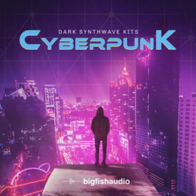 BIG FISH AUDIO CYBERPUNK - DARK SYNTHWAVE KITS(オンライン納品)(2時間以内に納品) プラグインソフト
