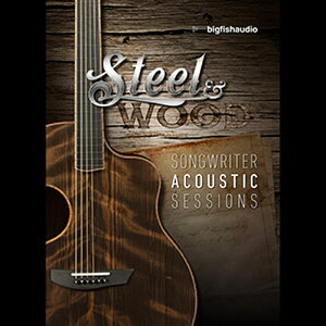 BIG FISH AUDIO yrbOtBbVI[fBIZ[IzSTEEL & WOOD(IC[i)(2Ԉȓɔ[i) vOC\tg