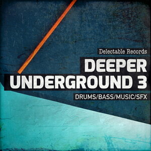 DELECTABLE RECORDS DEEPER UNDERGROUND 03(�I�����C���[�i)(2���Ԉȓ��ɔ[�i) �v���O�C���\�t�g