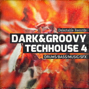 DELECTABLE RECORDS DARK AND GROOVY TECHHOUSE 04(�I�����C���[�i)(2���Ԉȓ��ɔ[�i) �v���O�C���\�t�g