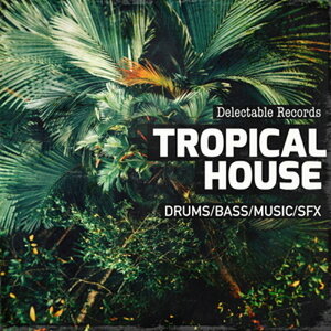 DELECTABLE RECORDS PRESENT - TROPICAL HOUSE 01(IC[i)(2Ԉȓɔ[i) vOC\tg