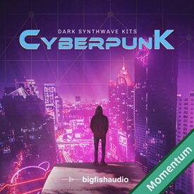 BIG FISH AUDIO CYBERPUNK - DARK SYNTHWAVE KITS MMT(オンライン納品)(2時間以内に納品) プラグインソフト
