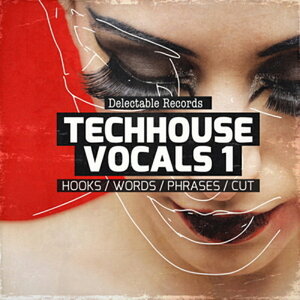 DELECTABLE RECORDS TECHHOUSE VOCALS(IC[i)(2Ԉȓɔ[i) vOC\tg