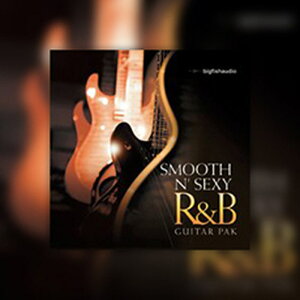 BIG FISH AUDIO yrbOtBbVI[fBIZ[IzSMOOTH N' SEXY R&B GUITAR PAK(IC[i)(2Ԉȓɔ[i) vOC\tg
