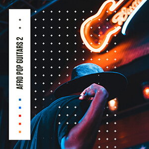 DIGINOIZ AFRO POP GUITARS 2(IC[i)(2Ԉȓɔ[i) vOC\tg