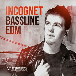 SINGOMAKERS INCOGNET BASSLINE EDM(�I�����C���[�i)(2���Ԉȓ��ɔ[�i) �v���O�C���\�t�g
