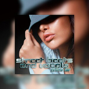 BIG FISH AUDIO STREET BEATS & VOCALS VOL.2(IC[i)(2Ԉȓɔ[i) vOC\tg