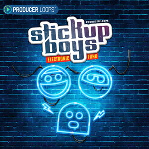 PRODUCER LOOPS STICK UP BOYS ELECTRONIC FUNK(IC[i)(2Ԉȓɔ[i) vOC\tg