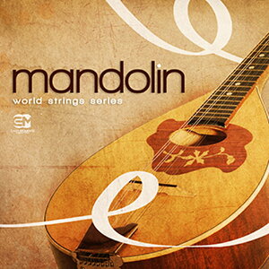 EARTH MOMENTS WORLD STRING SERIES - MANDOLIN(�I�����C���[�i)(2���Ԉȓ��ɔ[�i) �v���O�C���\�t�g