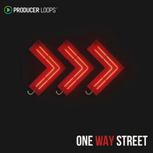 PRODUCER LOOPS ONE WAY STREET(�I�����C���[�i)(2���Ԉȓ��ɔ[�i) �v���O�C���\�t�g