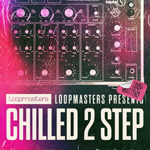 LOOPMASTERS CHILLED 2 STEP(�I�����C���[�i)(2���Ԉȓ��ɔ[�i) �v���O�C���\�t�g