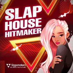 SINGOMAKERS SLAP HOUSE HITMAKER(�I�����C���[�i)(2���Ԉȓ��ɔ[�i) �v���O�C���\�t�g