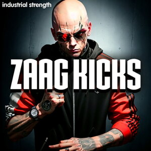 INDUSTRIAL STRENGTH ZAAG KICKS(IC[i)(2Ԉȓɔ[i) vOC\tg