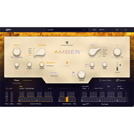 UJAM Virtual Guitarist AMBER 2(ユージャム)(ヴァーチャルギタリスト)(オンライン納品)(2時間以内に納品) ソフトウェア音源