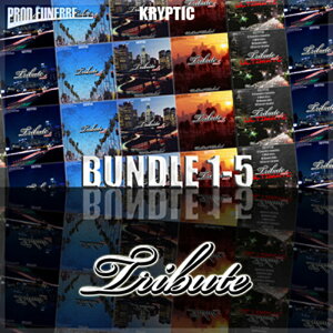 KRYPTIC SAMPLES TRIBUTE BUNDLE (VOLS 1-5)(�I�����C���[�i)(2���Ԉȓ��ɔ[�i) �v���O�C���\�t�g
