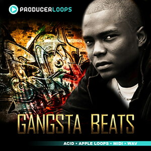 PRODUCER LOOPS GANGSTA BEATS(�I�����C���[�i)(2���Ԉȓ��ɔ[�i) �v���O�C���\�t�g