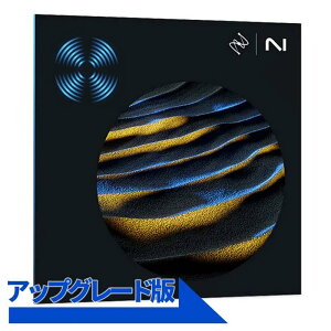 iZotope RX 11 Advanced: Upgrade from RX 11 Standard(オンライン納品)(2時間以内に納品) プラグインソフト