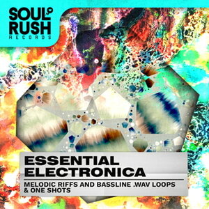 SOUL RUSH RECORDS ESSENTIAL ELECTRONICA(�I�����C���[�i)(2���Ԉȓ��ɔ[�i) �v���O�C���\�t�g