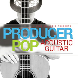 IN SESSION AUDIO �y�C���Z�b�V�����I�[�f�B�I�S�[���f���E�B�[�N�Z�[���I�zPRODUCER POP ACOUSTIC GUITAR(�I�����C���[�i)(2���Ԉȓ��ɔ[�i) �v���O�C���\�t�g
