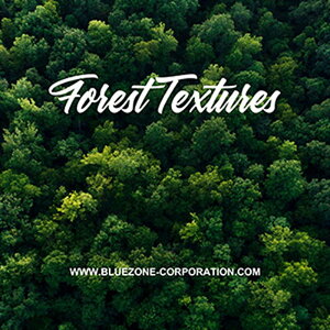 BLUEZONE FOREST TEXTURES(IC[i)(2Ԉȓɔ[i) vOC\tg