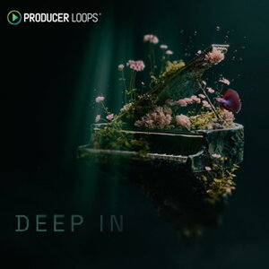 PRODUCER LOOPS Deep In (�n�E�X�W������)(�|�b�v�X)(�R���X�g���N�V�����L�b�g)(�I�����C���[�i)(2���Ԉȓ��ɔ[�i) �v���O�C���\�t�g