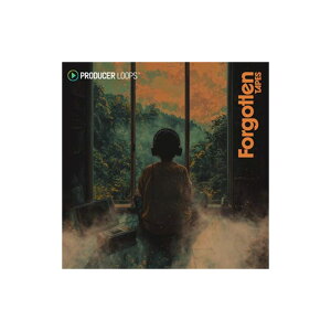 PRODUCER LOOPS FORGOTTEN TAPES(�I�����C���[�i)(2���Ԉȓ��ɔ[�i) �v���O�C���\�t�g