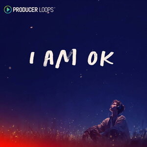 PRODUCER LOOPS I'm OK (�q�b�v�z�b�v)(���[�t�@�C)(���@�C�i��)(�`��)(�R���X�g���N�V�����L�b�g)(�I�����C���[�i)(2���Ԉȓ��ɔ[�i) �v���O�C���\�t�g
