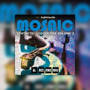 BIG FISH AUDIO MOSAIC: SYNTHETIC GROOVE PAK VOL.3(�I�����C���[�i)(2���Ԉȓ��ɔ[�i) �v���O�C���\�t�g