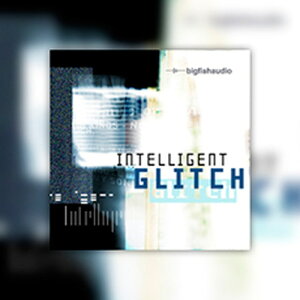 BIG FISH AUDIO INTELLIGENT GLITCH(�I�����C���[�i)(2���Ԉȓ��ɔ[�i) �v���O�C���\�t�g