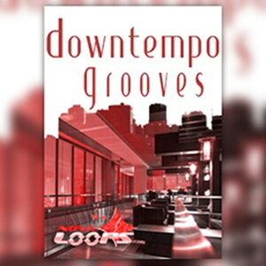 BIG FISH AUDIO DOWNTEMPO GROOVES(�I�����C���[�i)(2���Ԉȓ��ɔ[�i) �v���O�C���\�t�g