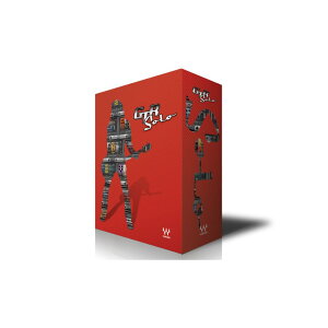 WAVES GTR Solo (IC[i)(2Ԉȓɔ[i) vOC\tg