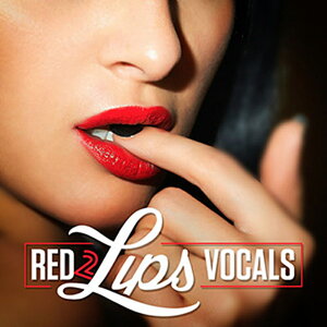 DIGINOIZ RED LIPS VOCALS 2(IC[i)(2Ԉȓɔ[i) vOC\tg