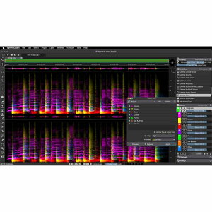 Steinberg SpectraLayers Pro 12 Crossgrade (�N���X�O���[�h��)(�I�[�f�B�I�G�f�B�^�[)(�X�^�C���o�[�O)(�X�y�N�g�����C���[�Y)(DTM)(�I�����C���[�i)(2���Ԉȓ��ɔ[�i) DAW�\�t�g