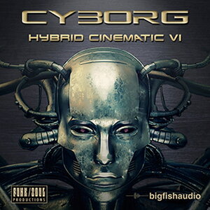 BIG FISH AUDIO CYBORG(IC[i)(2Ԉȓɔ[i) \tgEFA